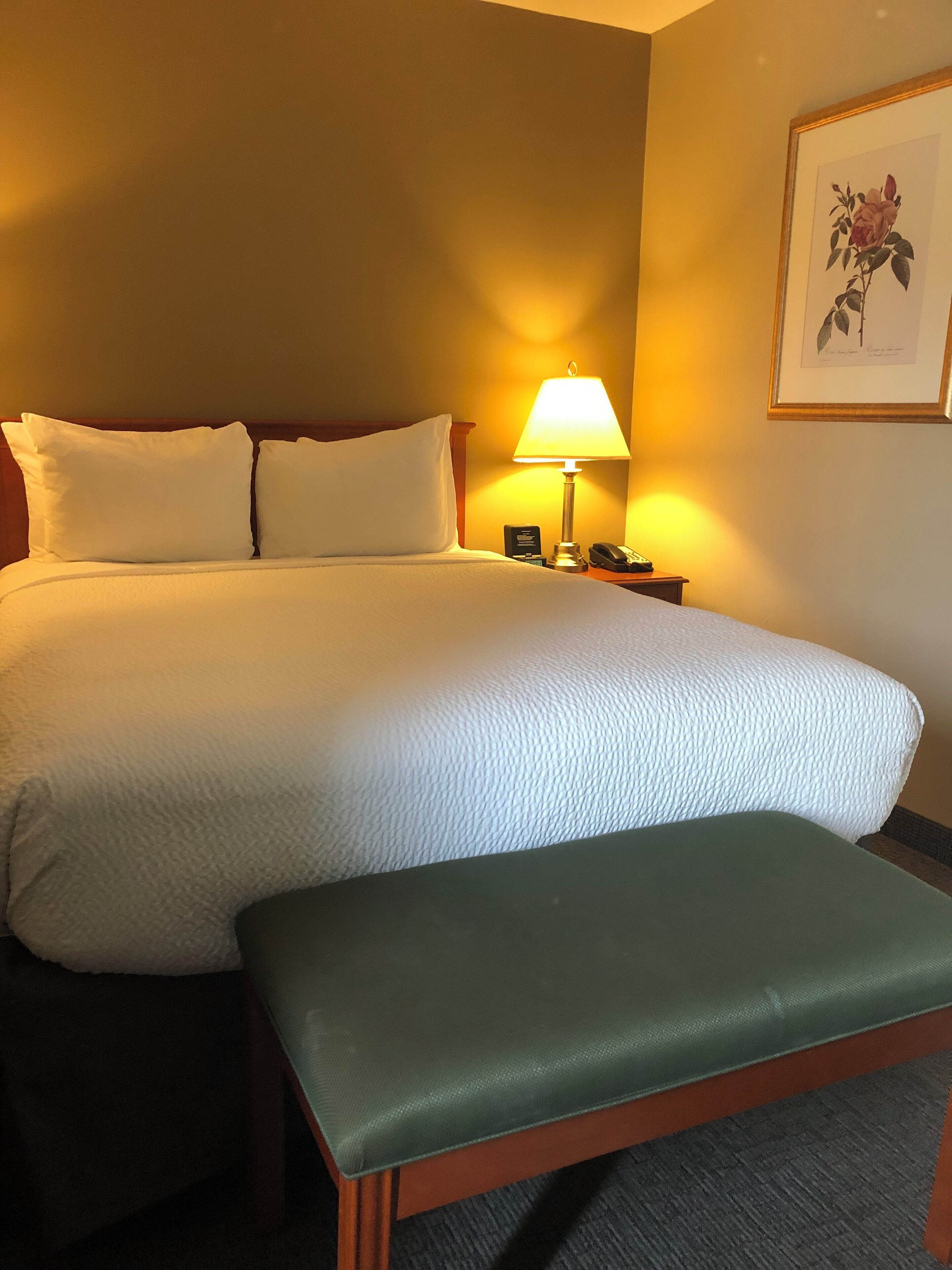 A hotel room with a large bed, a bedside lamp, a telephone, and a framed picture on the wall.