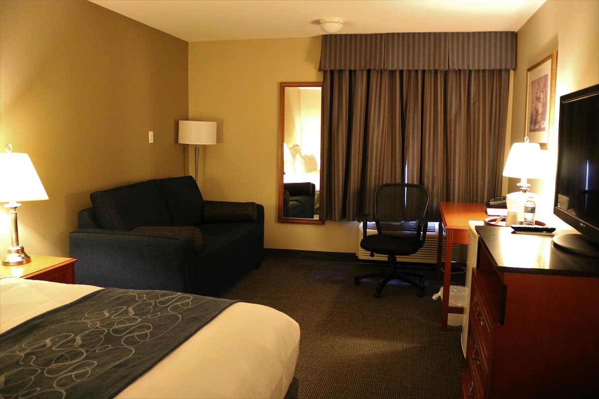 1 chambre, literie hypoallergénique