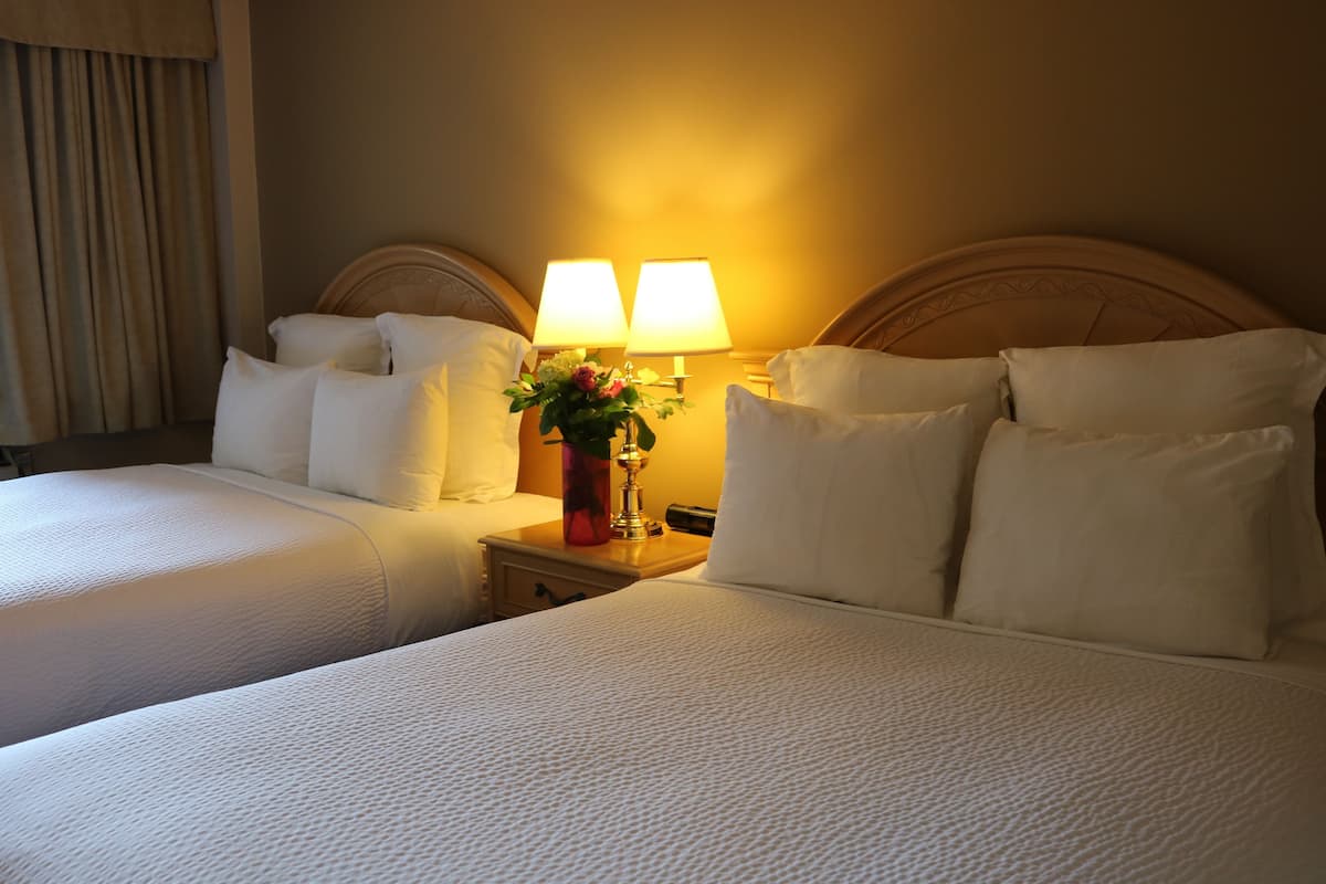 1 chambre, literie hypoallergénique
