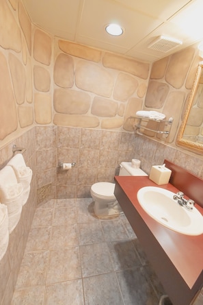A bathroom with a stone wall design, a toilet, a sink, and a mirror.