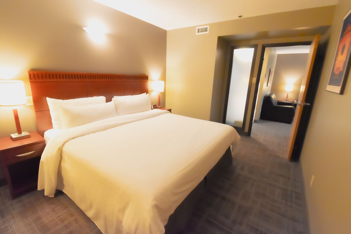 Ropa de cama hipoalergénica, escritorio, cortinas opacas
