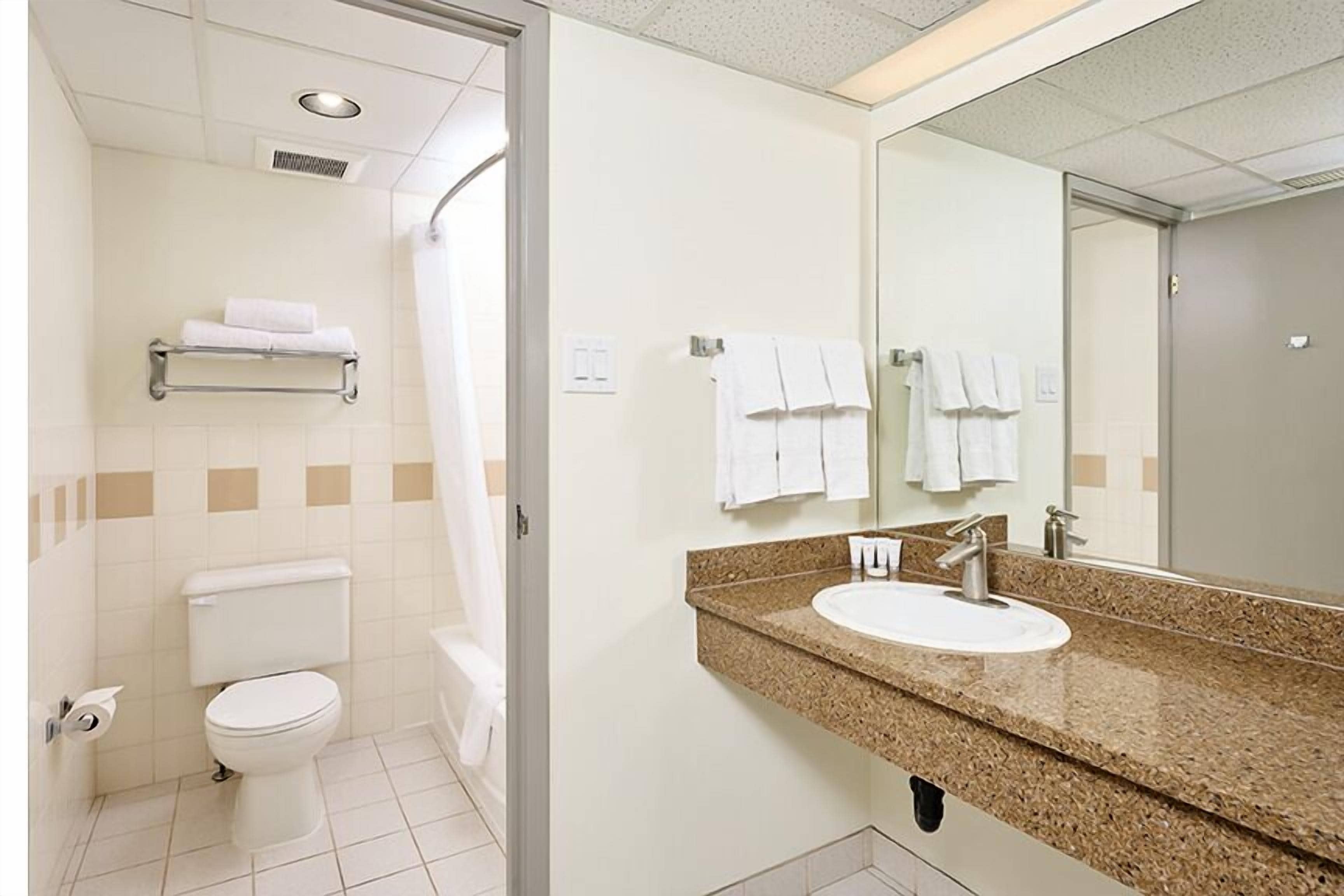 Un baño con inodoro, lavamanos y espejo.