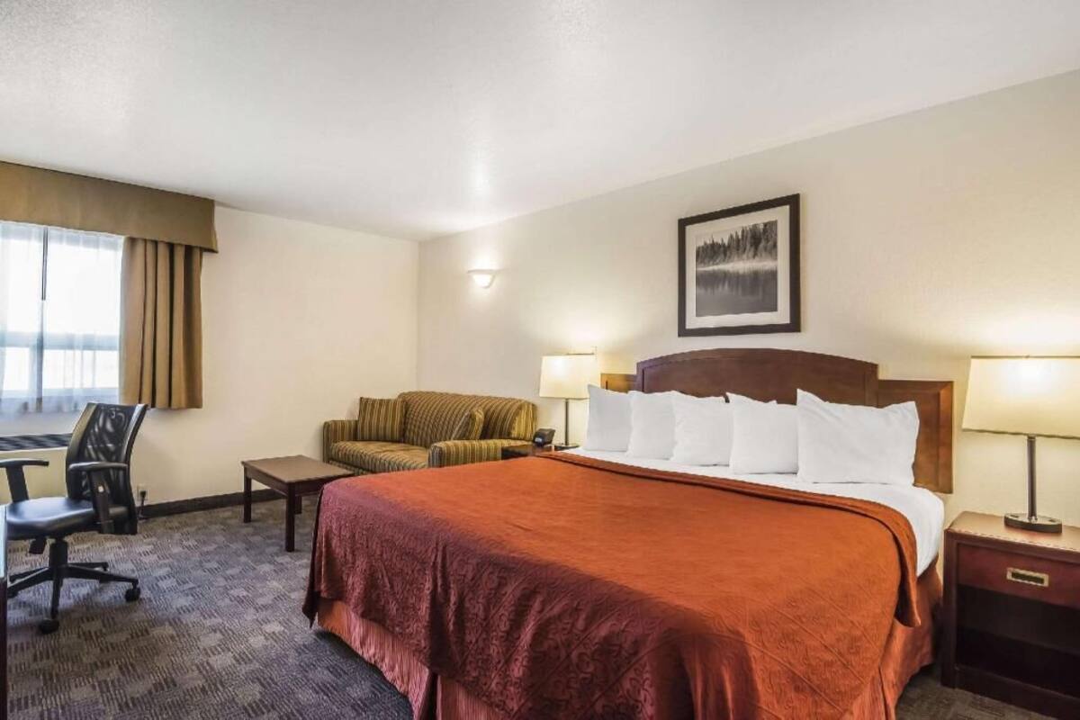 A hotel room with a large bed, a sofa, a desk, and a chair.