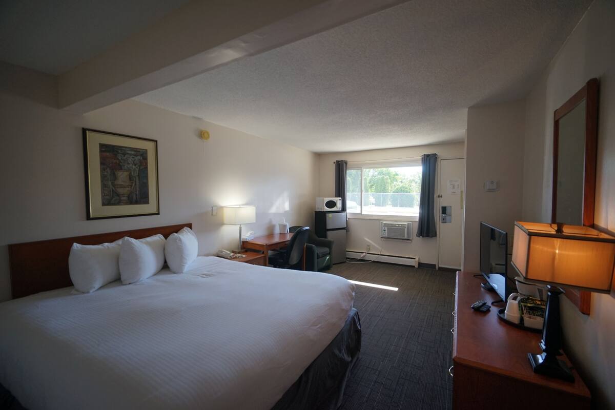 Standard Room, 1 King Bed, Non Smoking | Desk, blackout drapes, iron/ironing board (on request), WiFi (free)