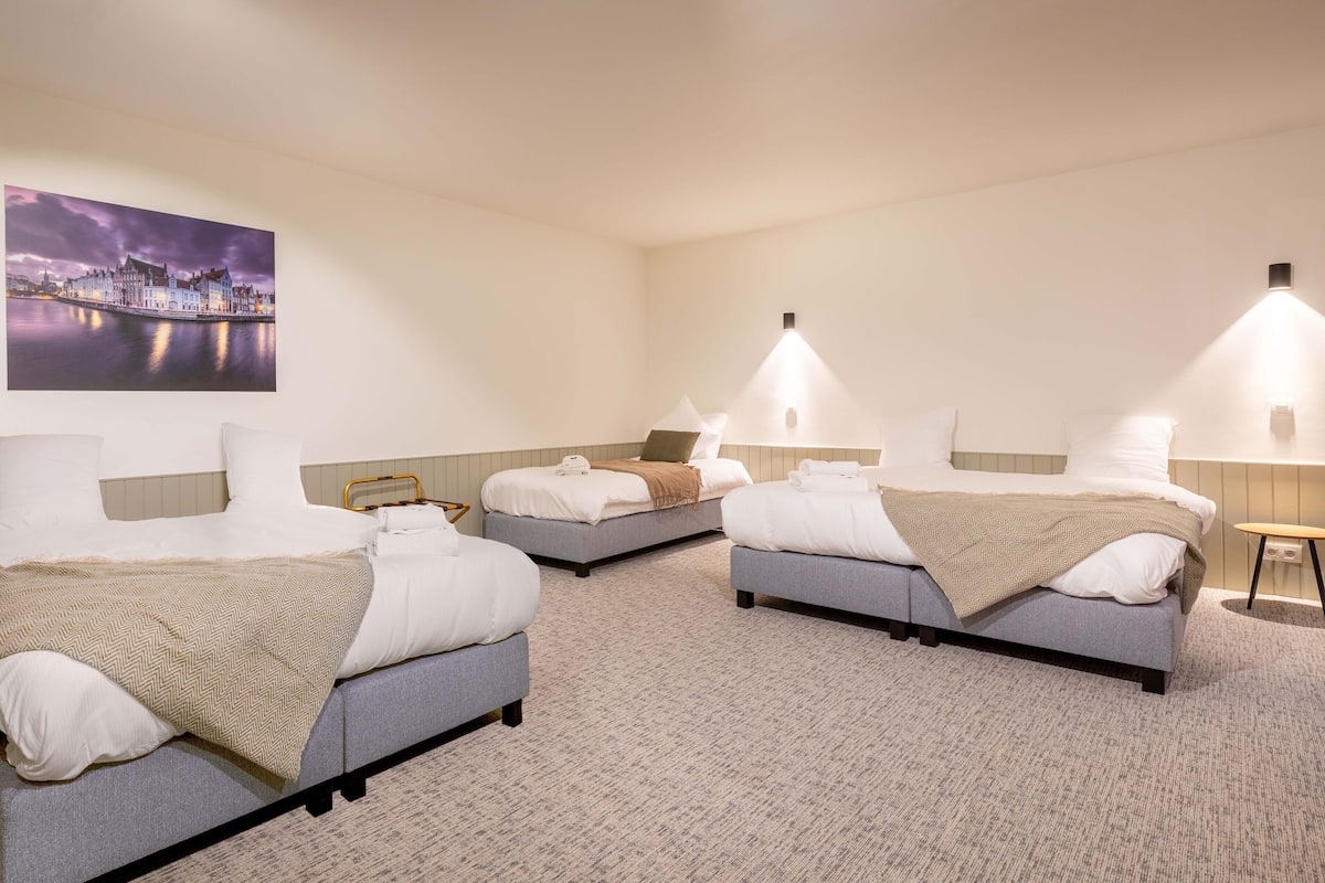 Ropa de cama de alta calidad, escritorio y cortinas blackout