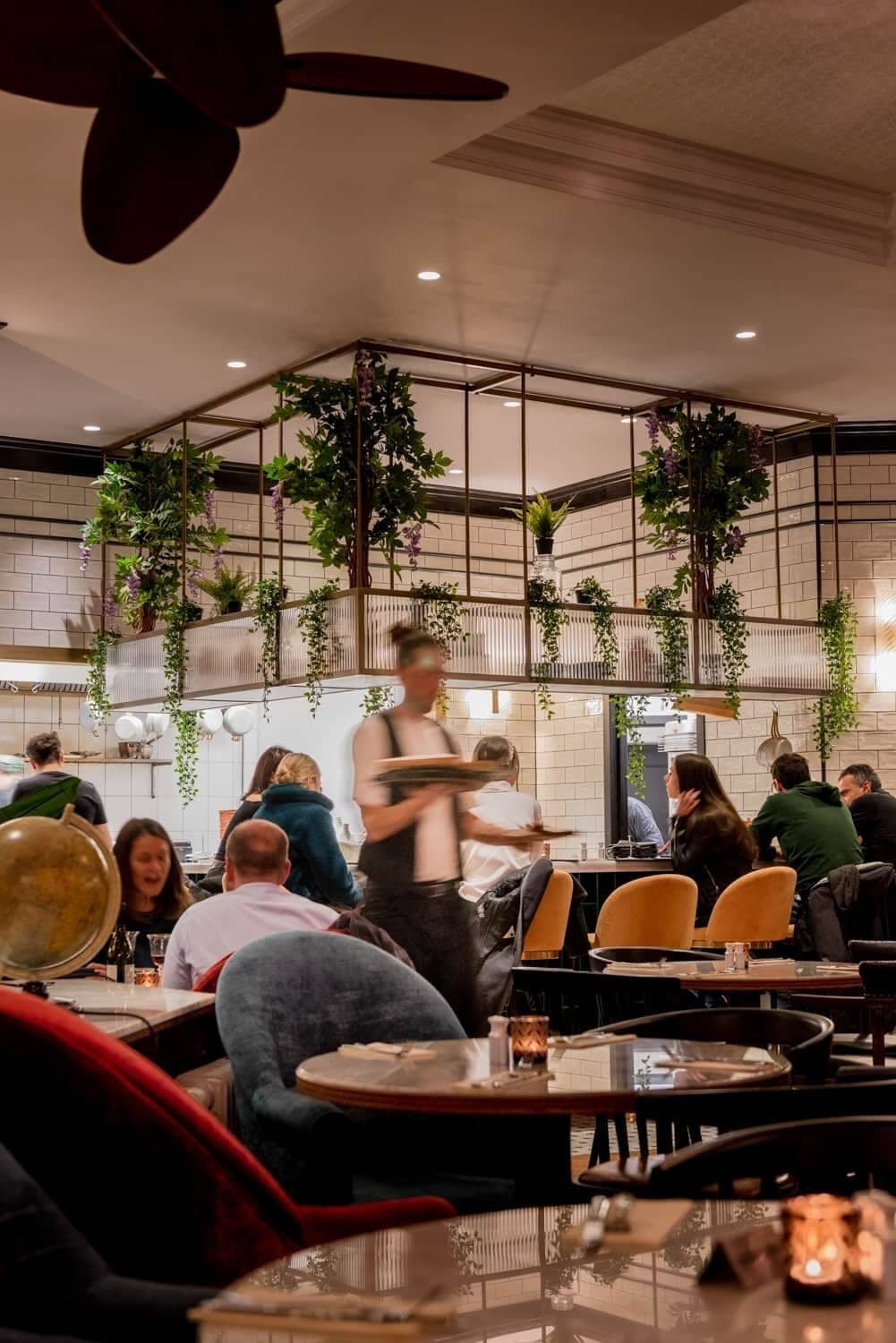 A restaurant interior with tables, chairs, hanging plants, and a ceiling fan.