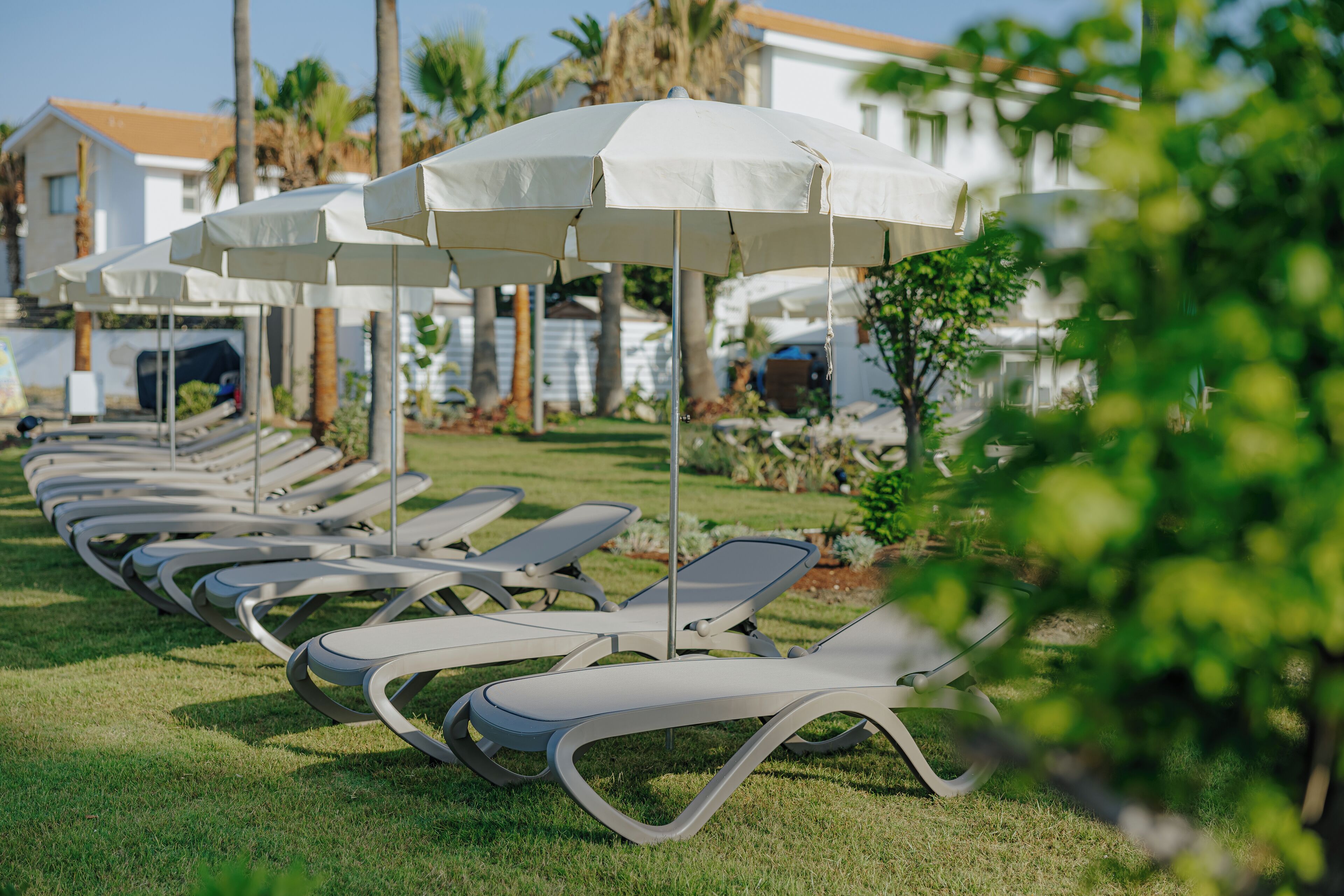 A row of white sun loungers with matching umbrellas, arranged on a grassy lawn with a building in the background.