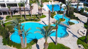 A large outdoor swimming pool surrounded by palm trees and a stone pathway.