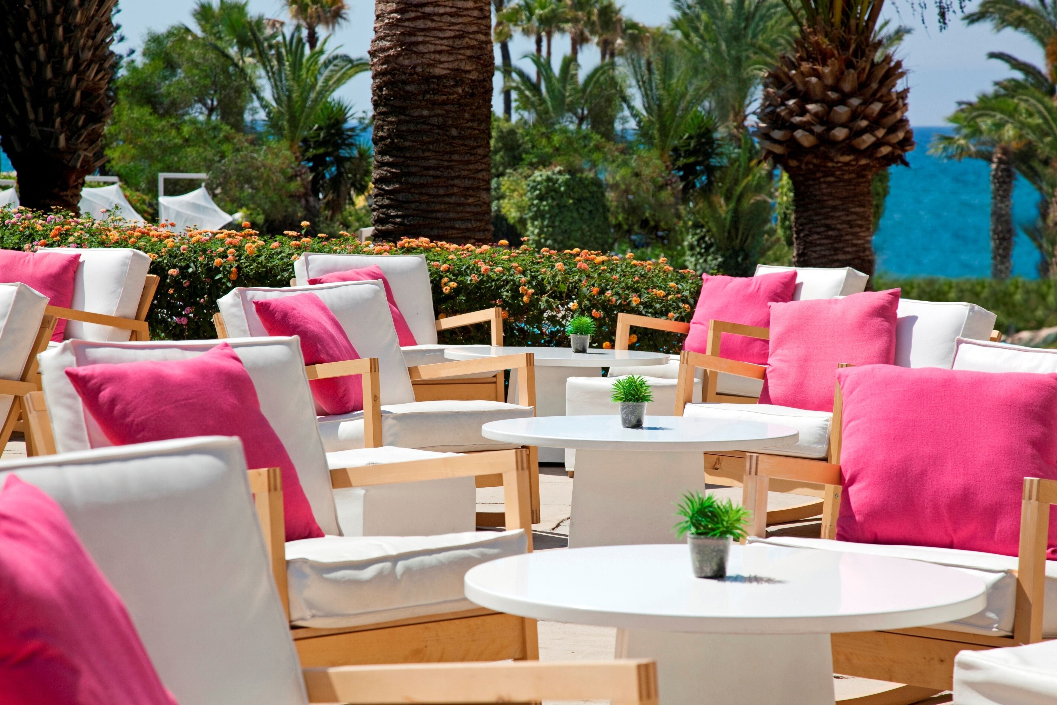 Outdoor seating with white and pink cushions, surrounded by palm trees and a view of the ocean.