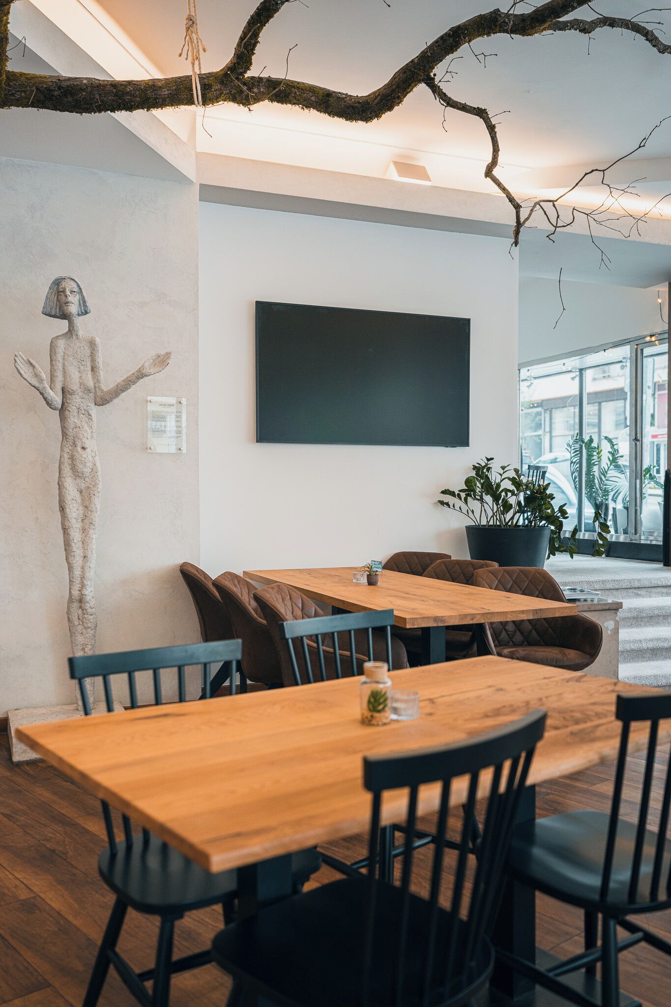 Un interior moderno con una mesa y sillas de madera, una planta grande en maceta y un televisor de pantalla plana montado en la pared.