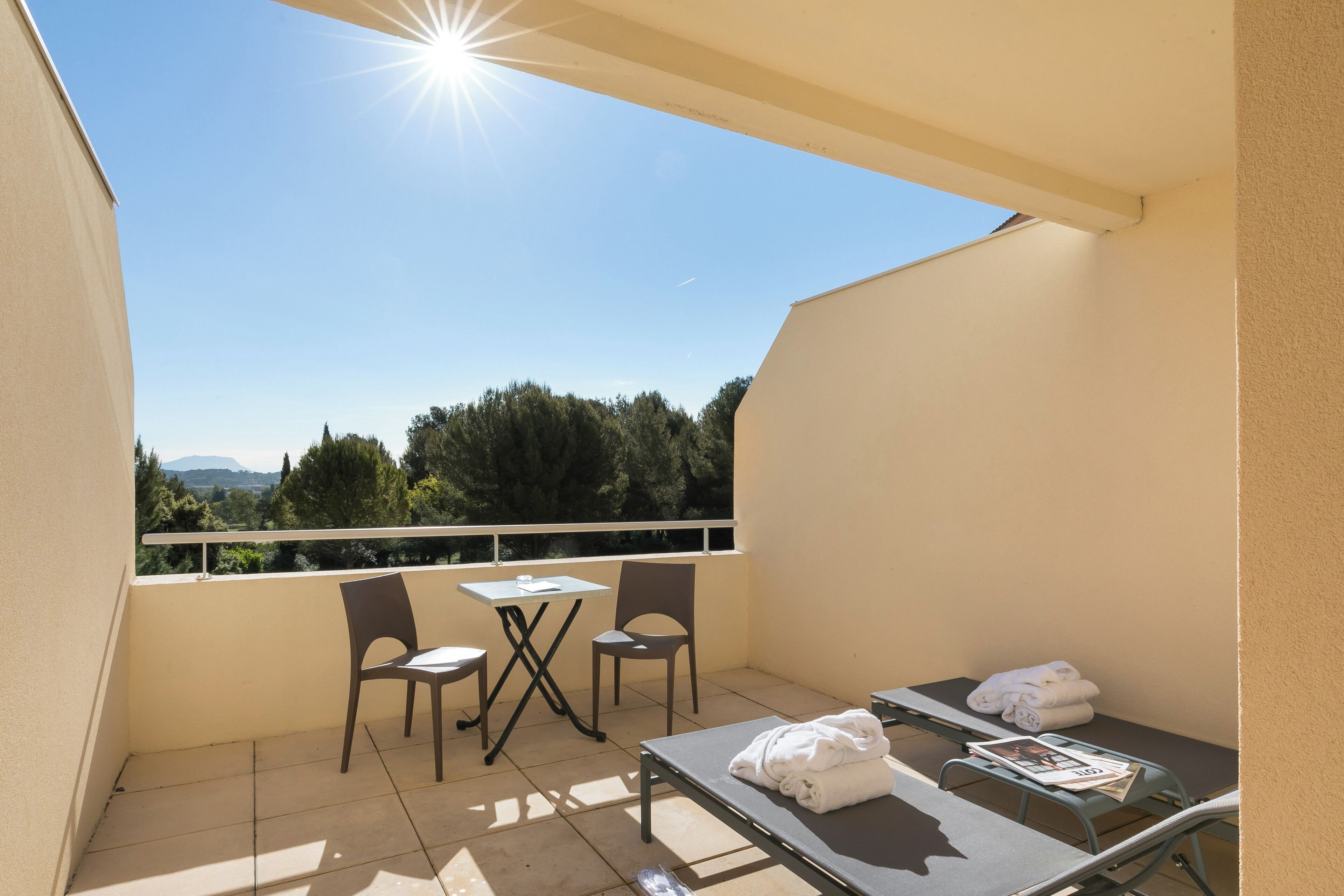 Chambre Double Exécutive | Terrasse/Patio
