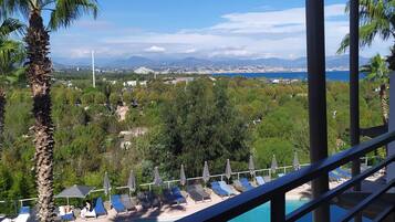 Terras