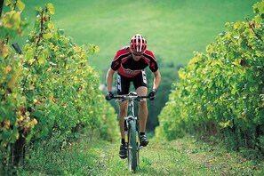 Ciclismo