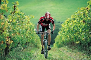 Ciclismo