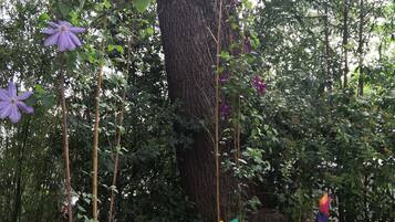 花園