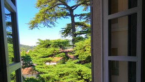 Une fenêtre donnant sur un arbre et la verdure environnante.