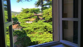 Superior tweepersoonskamer | Een bureau, een strijkplank/strijkijzer, gratis babybedden, gratis wifi