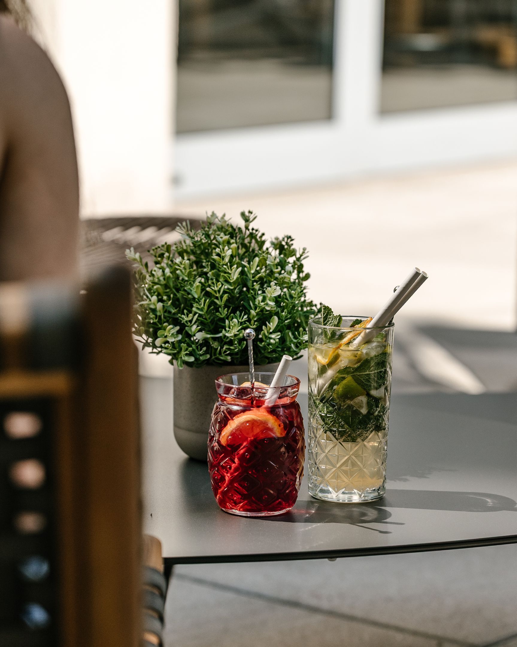 Dos bebidas sobre una mesa, con una planta en maceta al fondo.