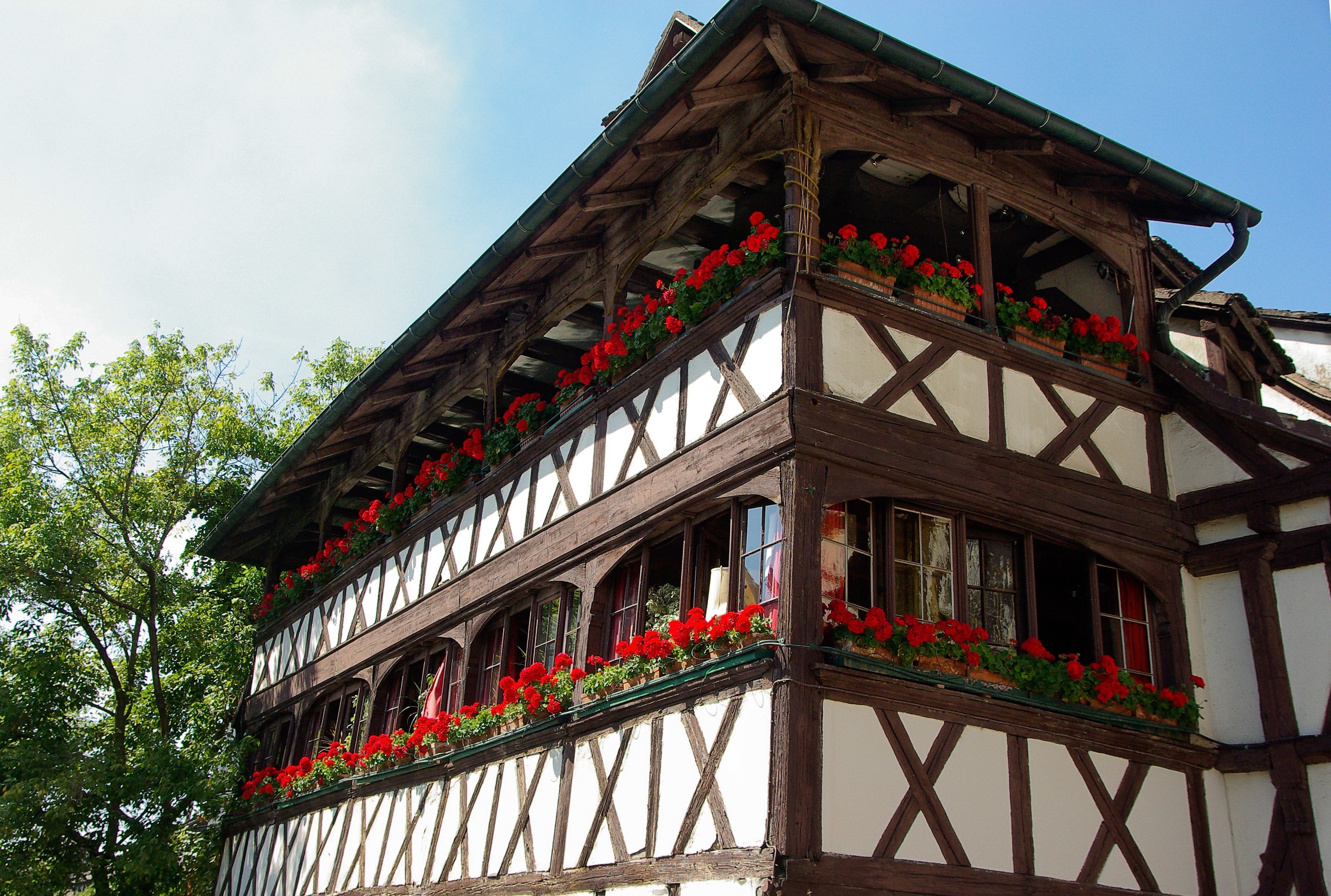 A traditional half-timbered building with multiple windows and balconies adorned with red flowers.