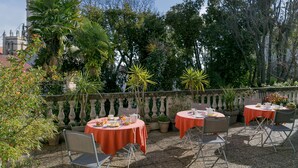 An outdoor patio with round tables covered with red tablecloths, surrounded by potted plants and chairs.