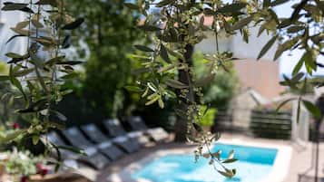 Outdoor pool, pool loungers