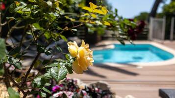 A pool area with a wooden deck and a yellow rose in the foreground.