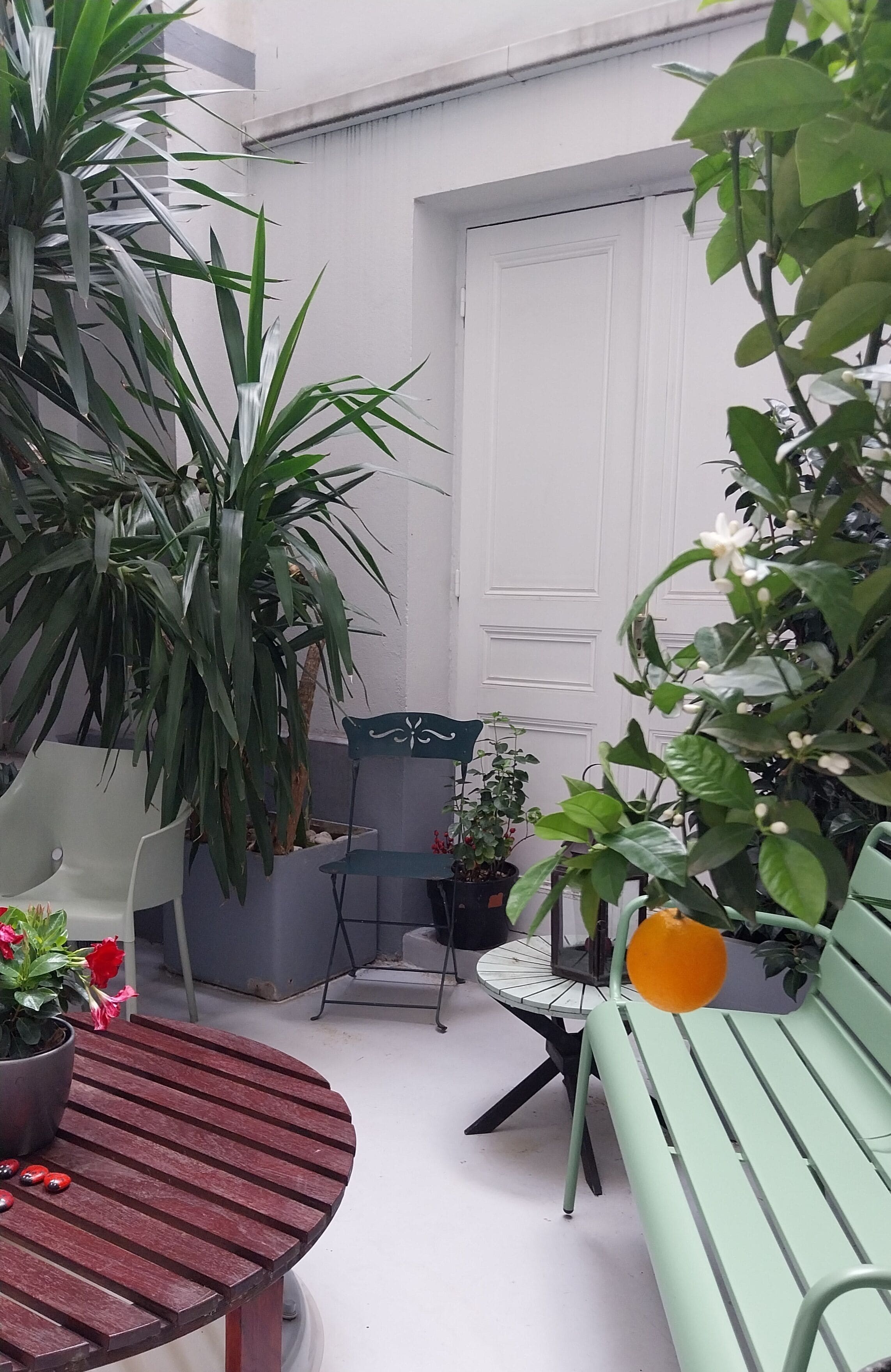 A patio area with a round table, two chairs, a bench, and various potted plants.