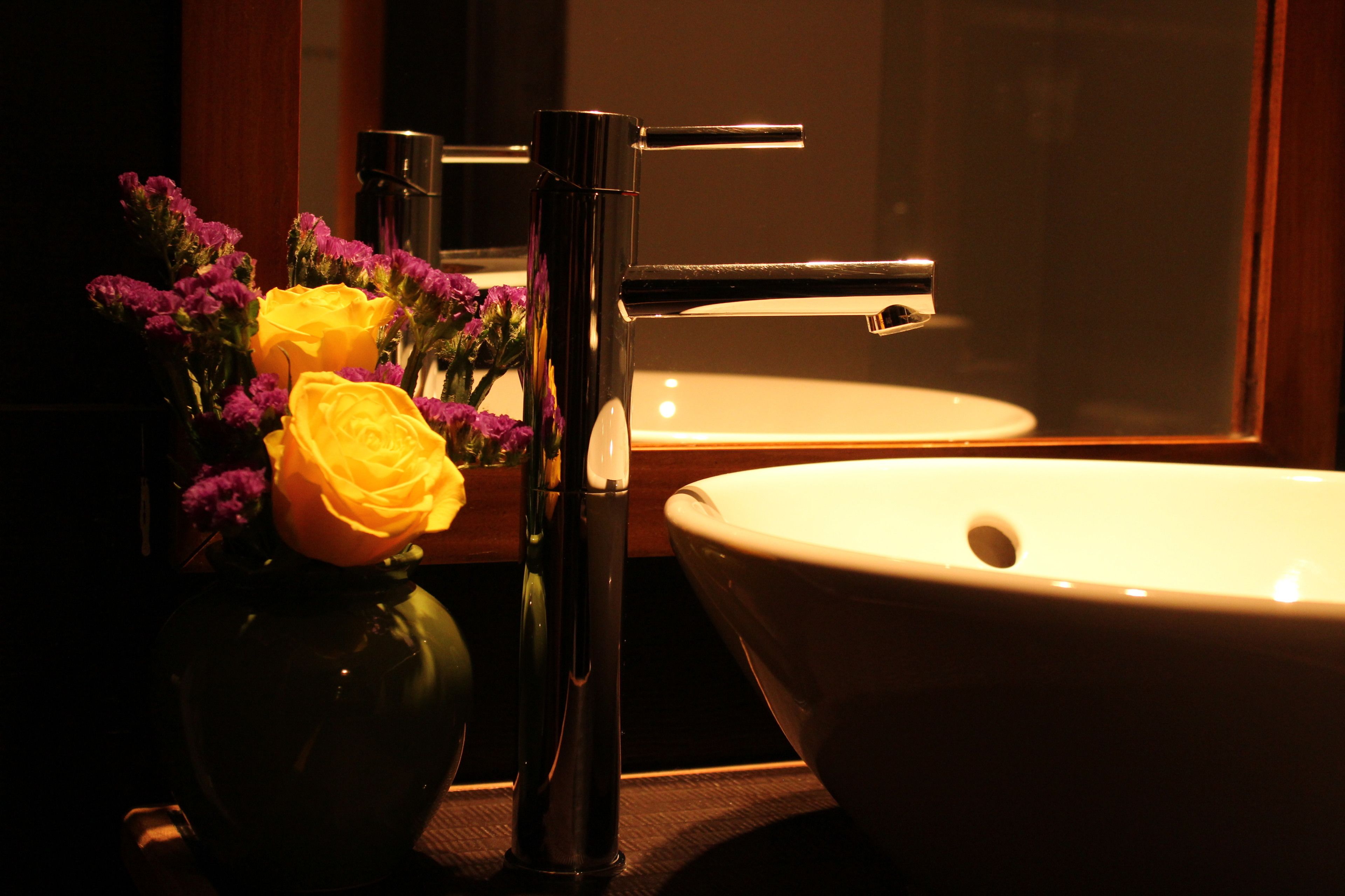 combined shower/bathtub, free toiletries, hair dryer, towels