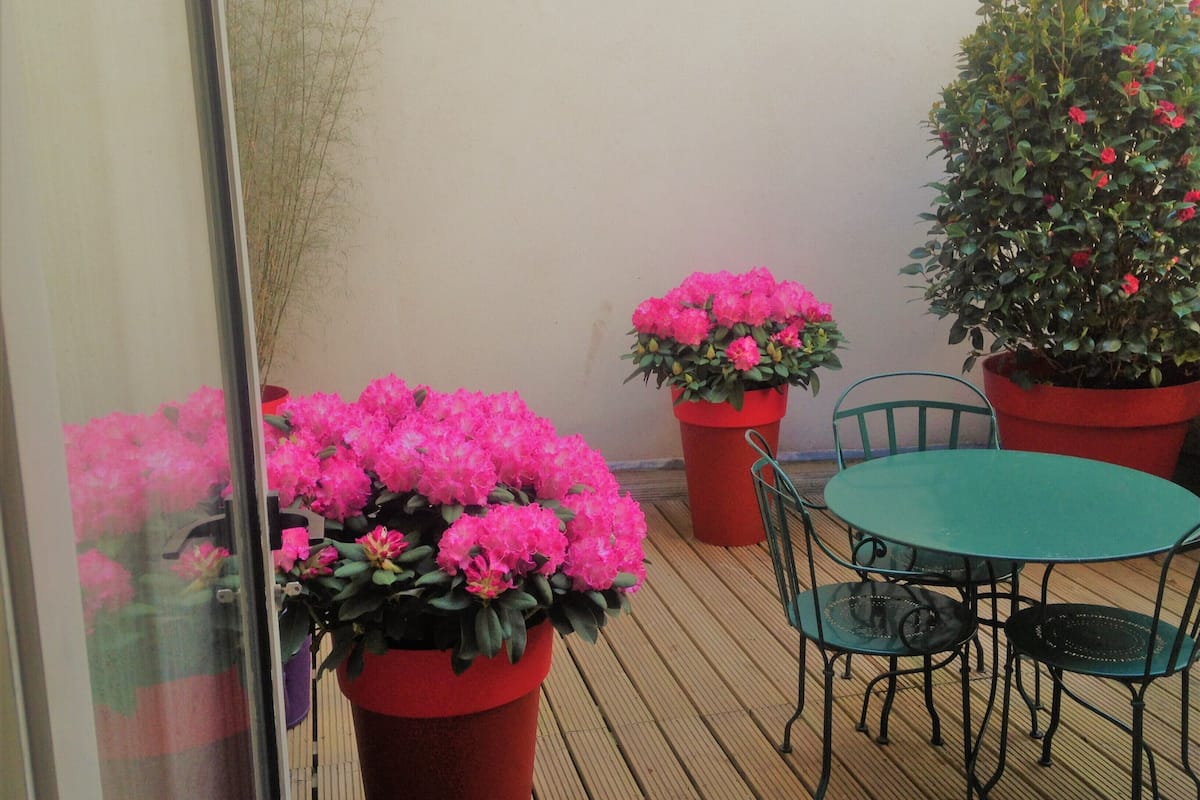 Une terrasse en bois avec une table ronde et des chaises, entourée de plantes en pot ornées de fleurs roses.