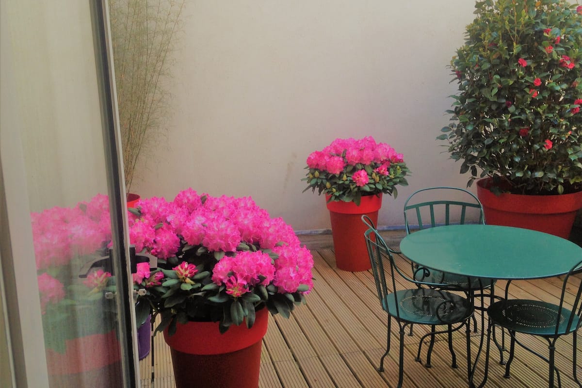 Superior Double Room, Terrace | Terrace/patio