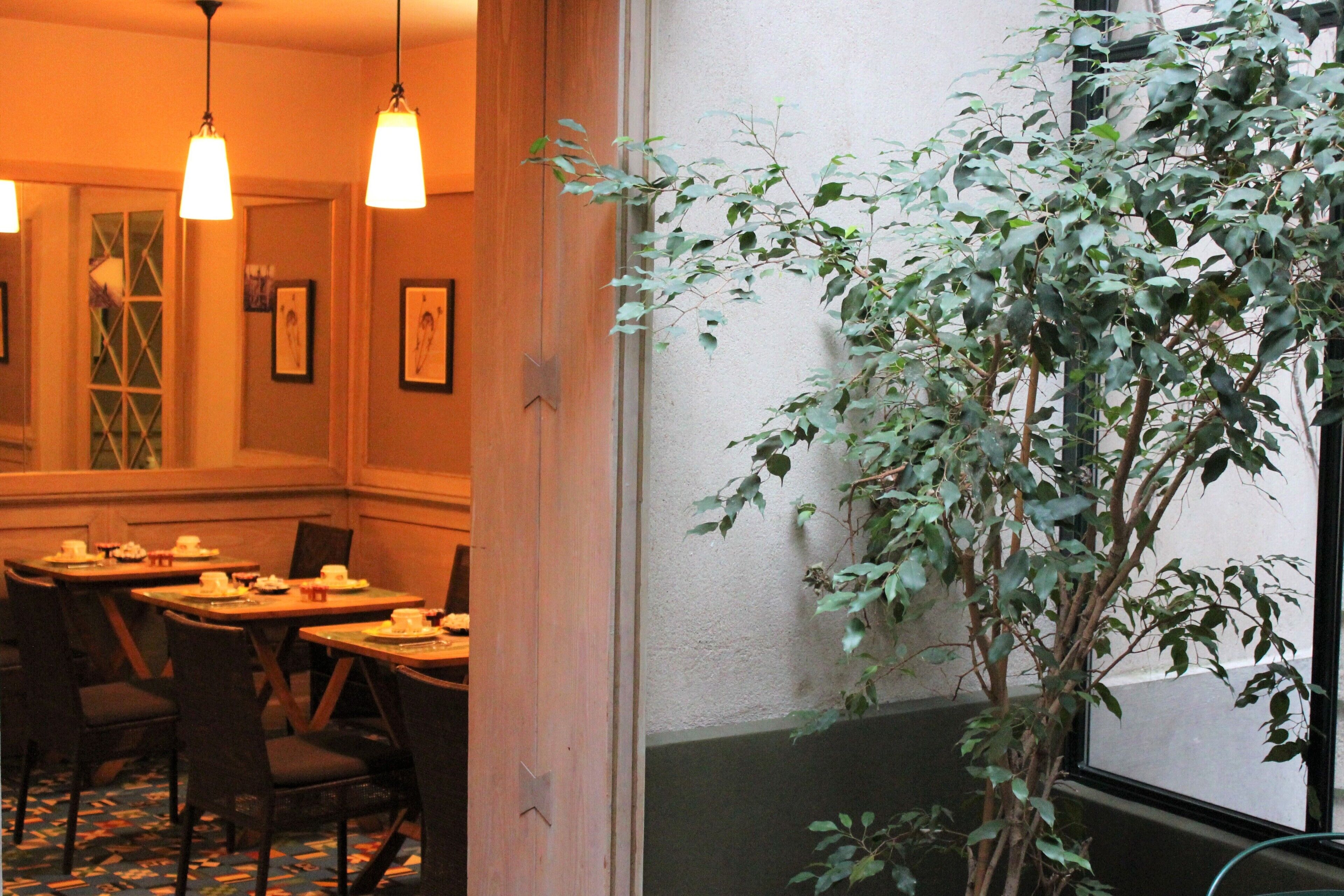 Frokostbuffé hver dag (EUR 19 per person)