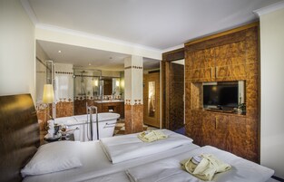 Habitación de hotel con cama, televisión, baño con ducha y espejo.