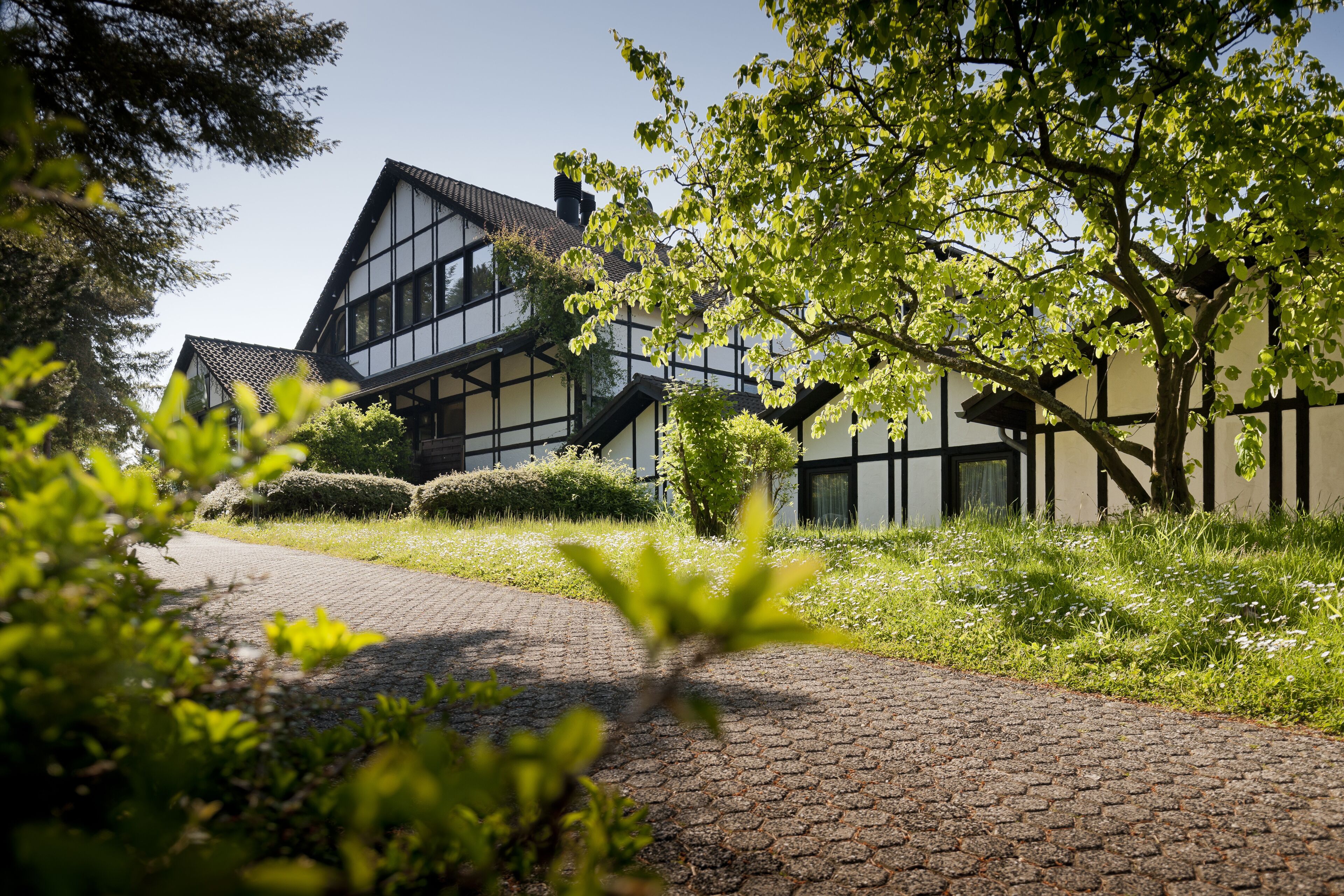 A traditional half-timbered house with a paved pathway leading to it, surrounded by greenery.