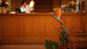 A reception area with a wooden counter and a plant in the foreground. - Hotel Lessing (Düsseldorf)