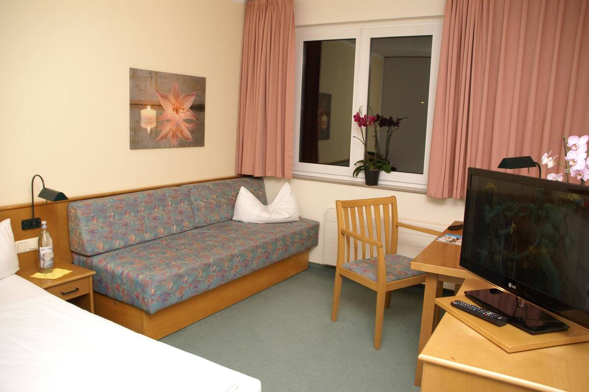 A hotel room with a bed, a sofa, a wooden chair, a desk with a TV, a window with curtains, and a potted plant.