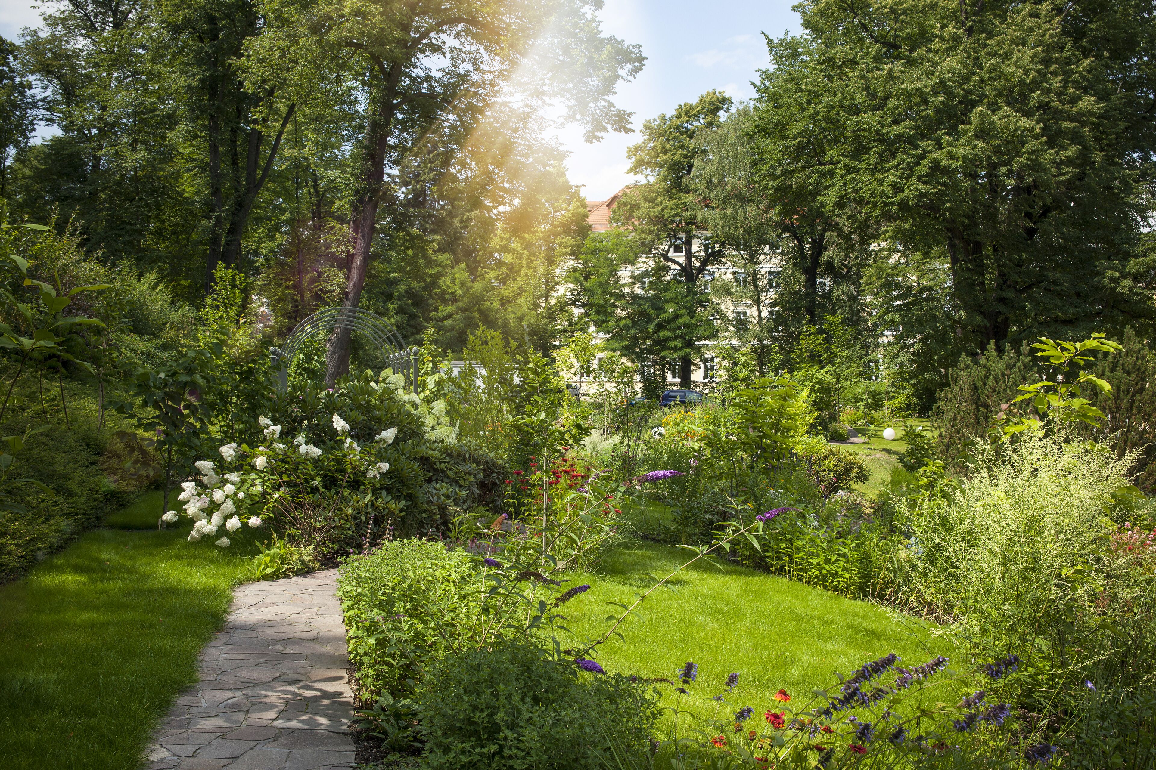 Garden