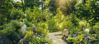 格利茨市公园酒店