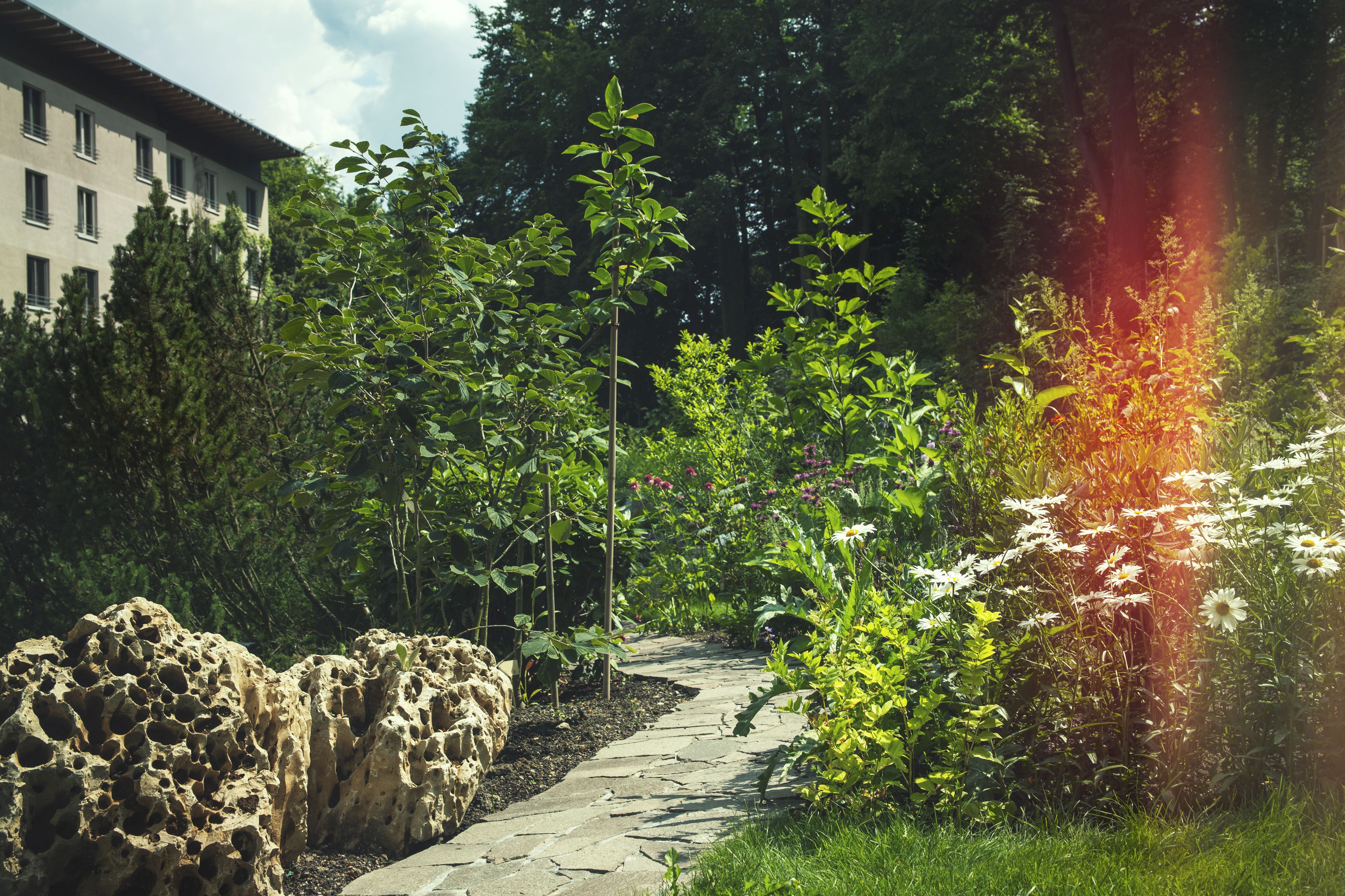 A stone pathway leading through a garden with various plants and trees, surrounded by a building with multiple windows.