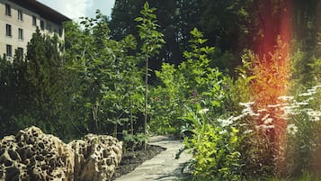 A stone pathway leading through a garden with various plants and trees, surrounded by a building with multiple windows.