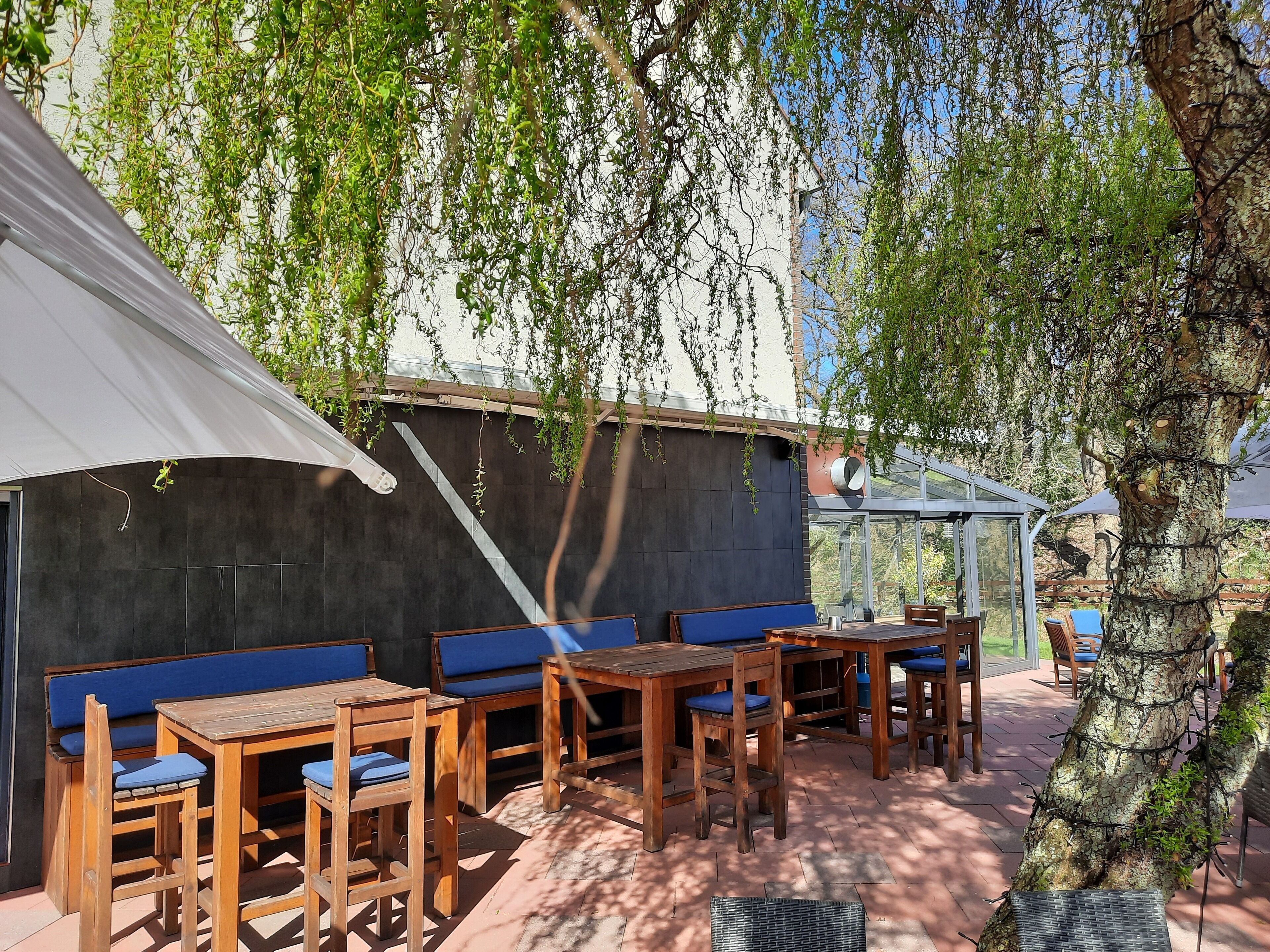 An outdoor seating area with wooden tables and blue cushioned benches, surrounded by trees and a covered section.