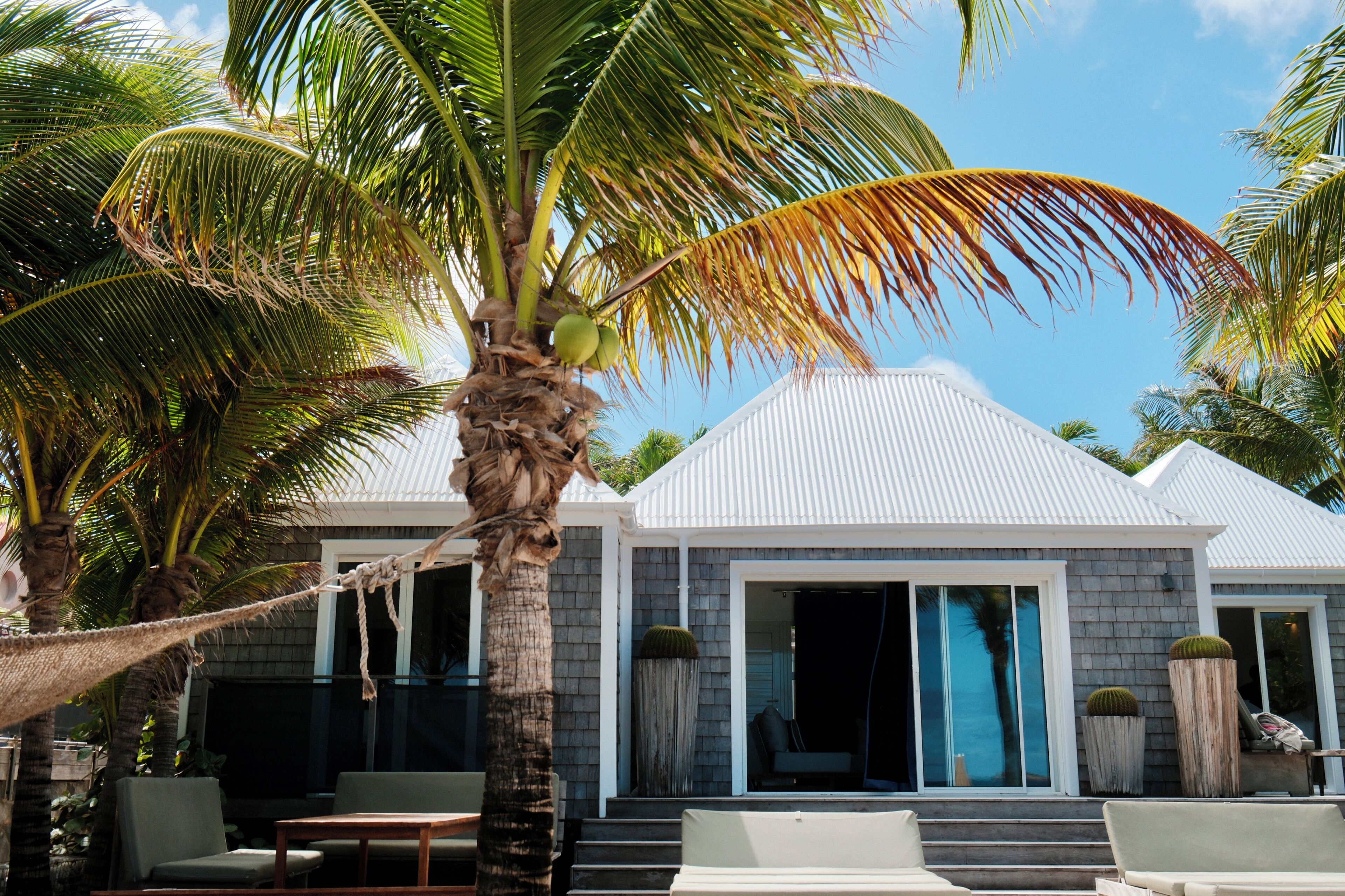 Suite, frente al mar | Terraza o patio