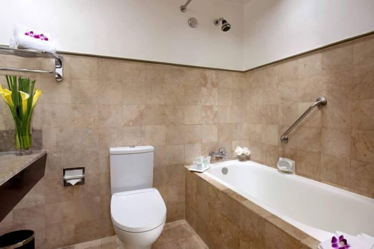 Combined shower/tub, free toiletries, hair dryer, slippers