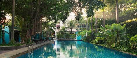 Bar (en la propiedad)