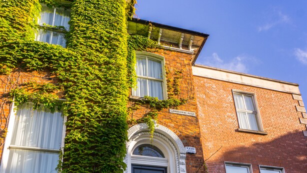 A building with ivy-covered walls and a purple flowering bush in front. - Butlers Townhouse (Dublin)