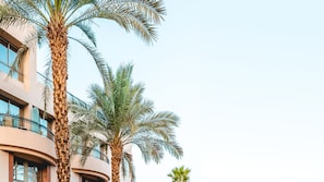 A multi-story building with balconies and palm trees.