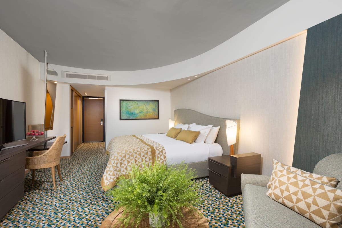 A hotel room with a bed, a desk, a chair, a TV, and a plant.