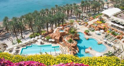 Dan Eilat