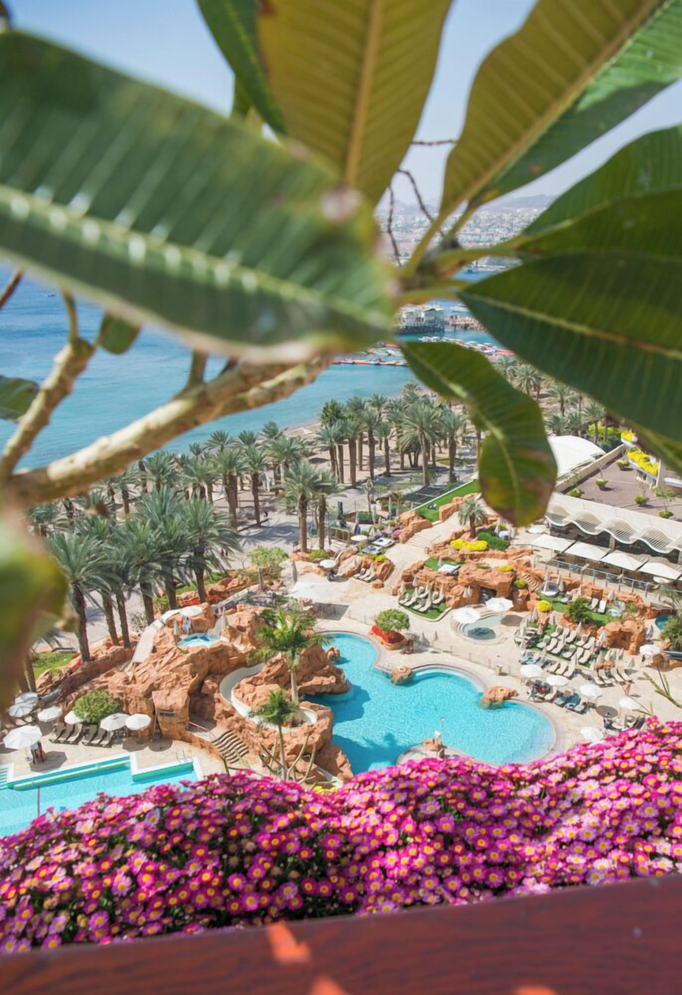 Un área de piscina en un resort con varias piscinas, palmeras y vista al océano.