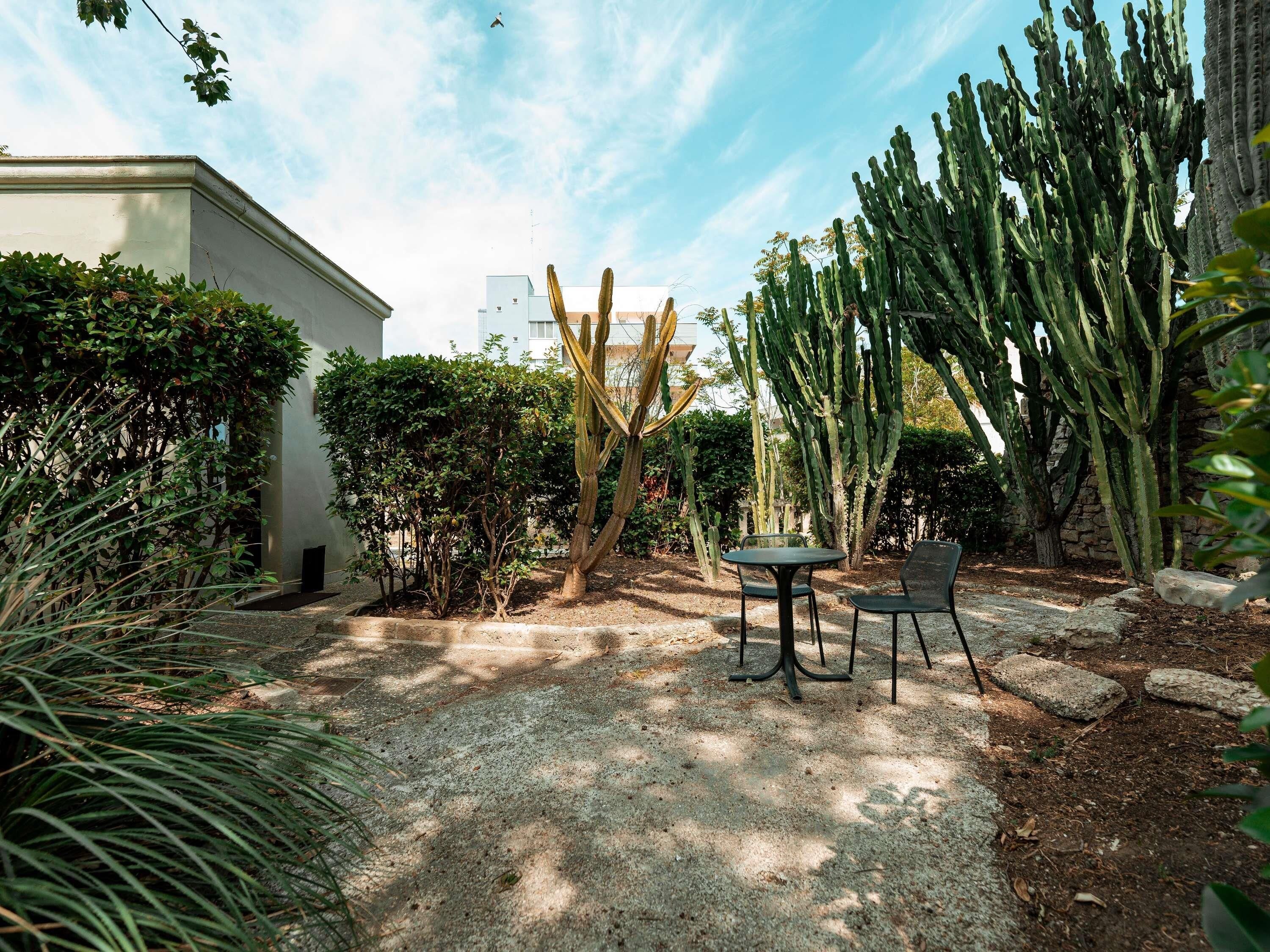 A garden with cacti, a table, and chairs.