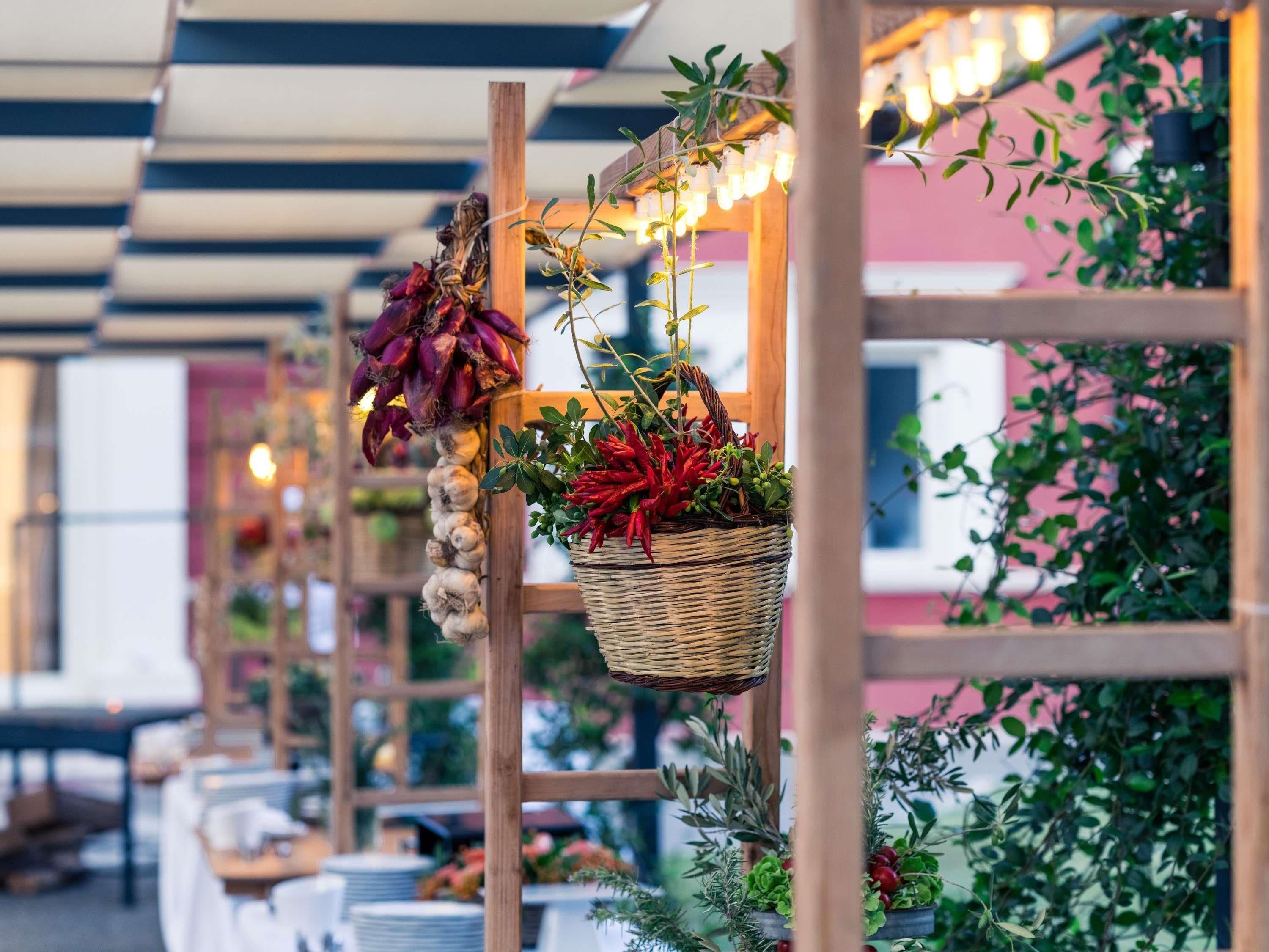 A row of tables with hanging baskets containing various plants and flowers.
